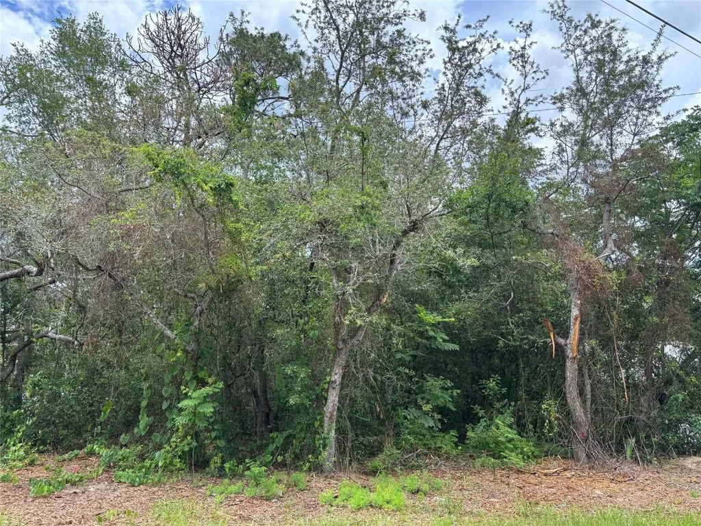 Lot W290 Navajo Trail Spring Hill FL 34606