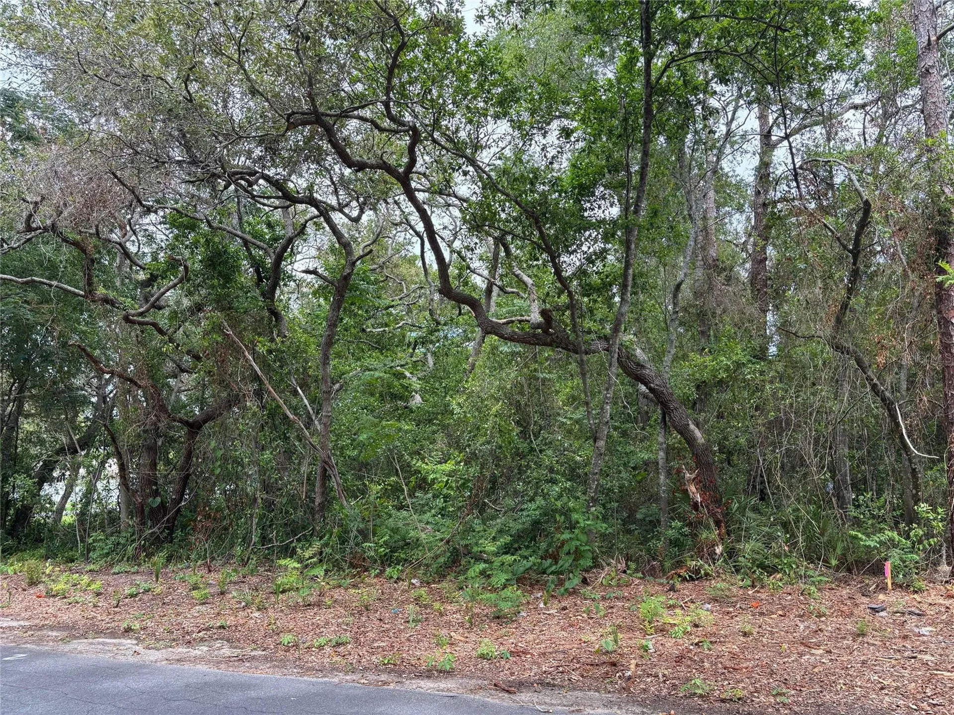 Lot W290 Navajo Trail Spring Hill FL 34606