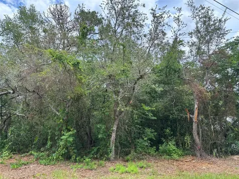 Lot W290 Navajo Trail Spring Hill FL 34606