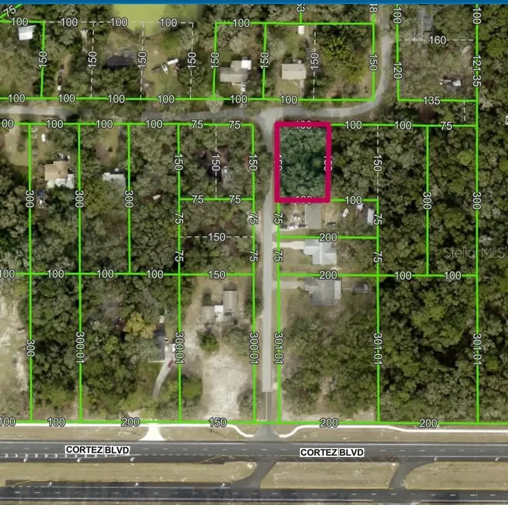 Lot 175c Madison Avenue Dade City FL 33523