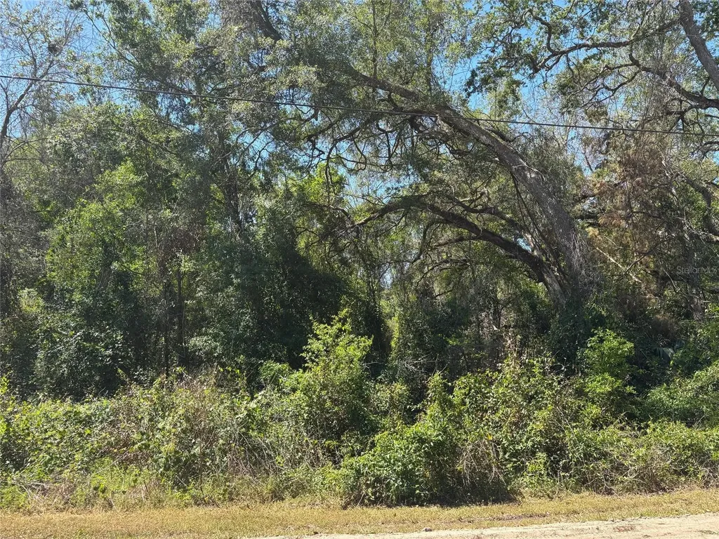 Lot 175c Madison Avenue Dade City FL 33523