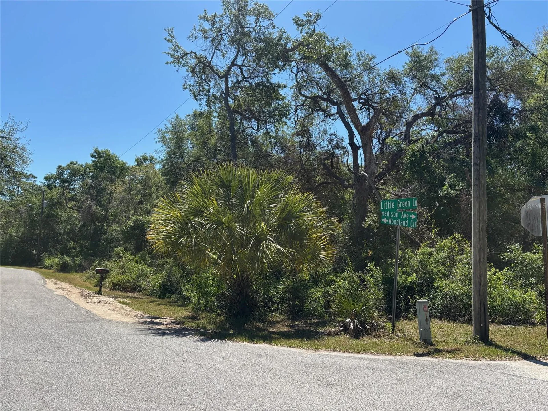 Lot 175c Madison Avenue Dade City FL 33523