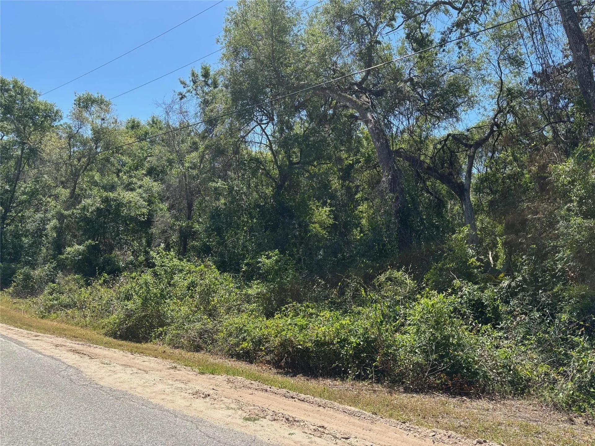 Lot 175c Madison Avenue Dade City FL 33523