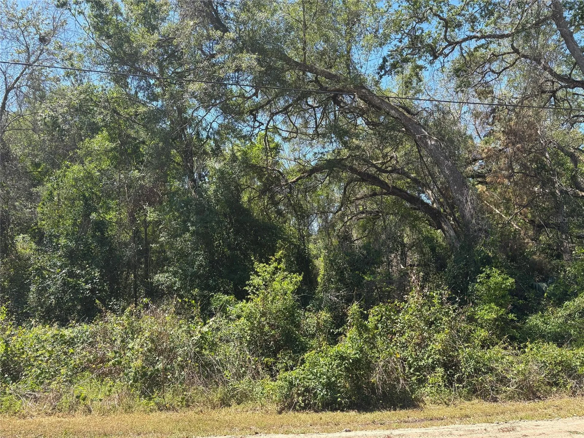 Lot 175c Madison Avenue Dade City FL 33523