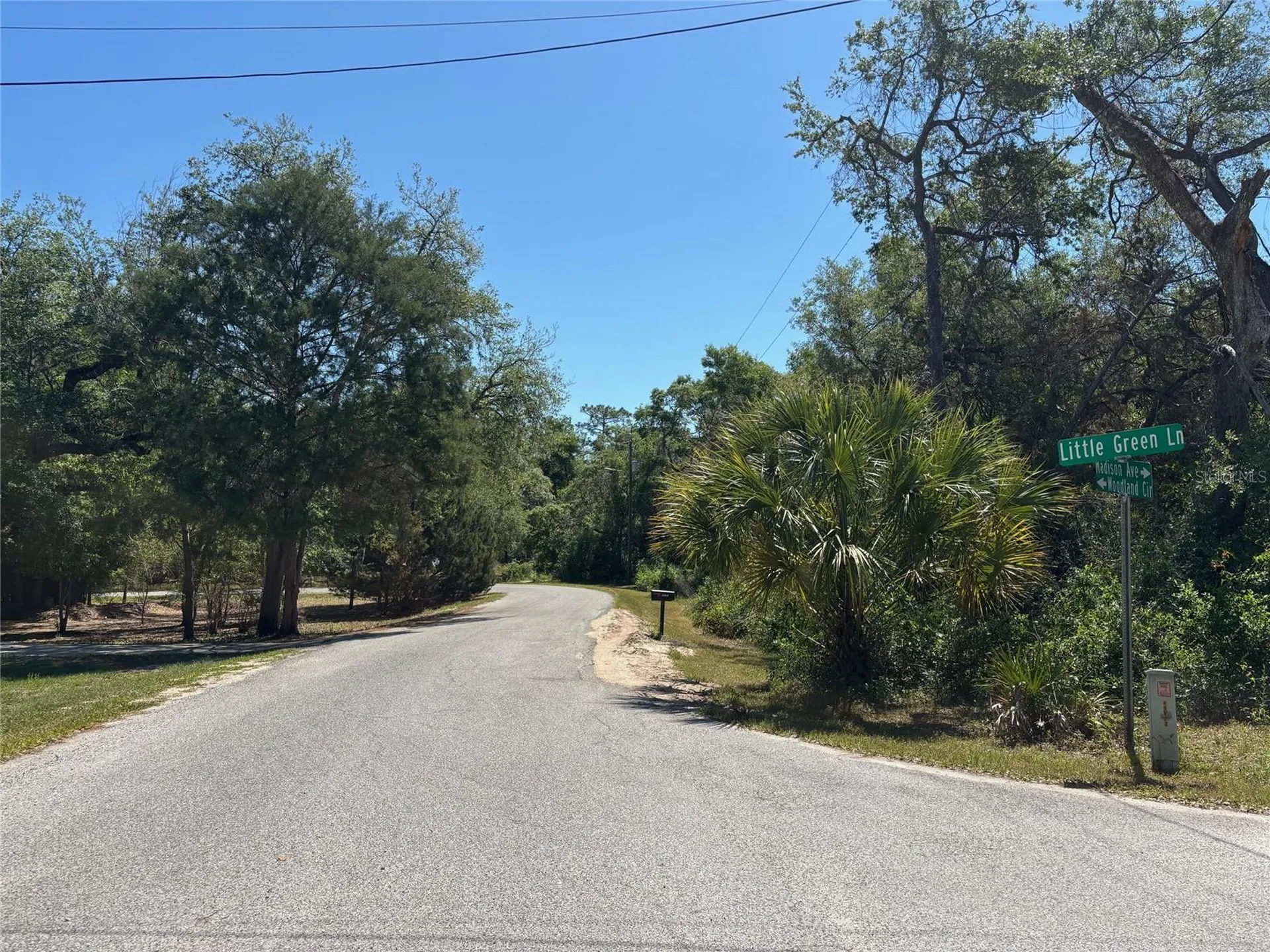 Lot 175c Madison Avenue Dade City FL 33523