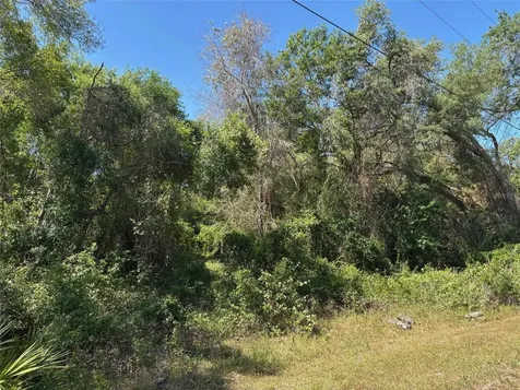 Lot 175c Madison Avenue Dade City FL 33523