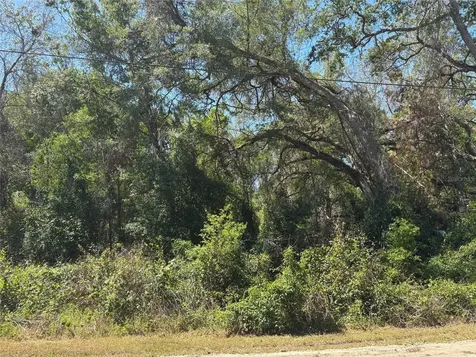 Lot 175c Madison Avenue Dade City FL 33523
