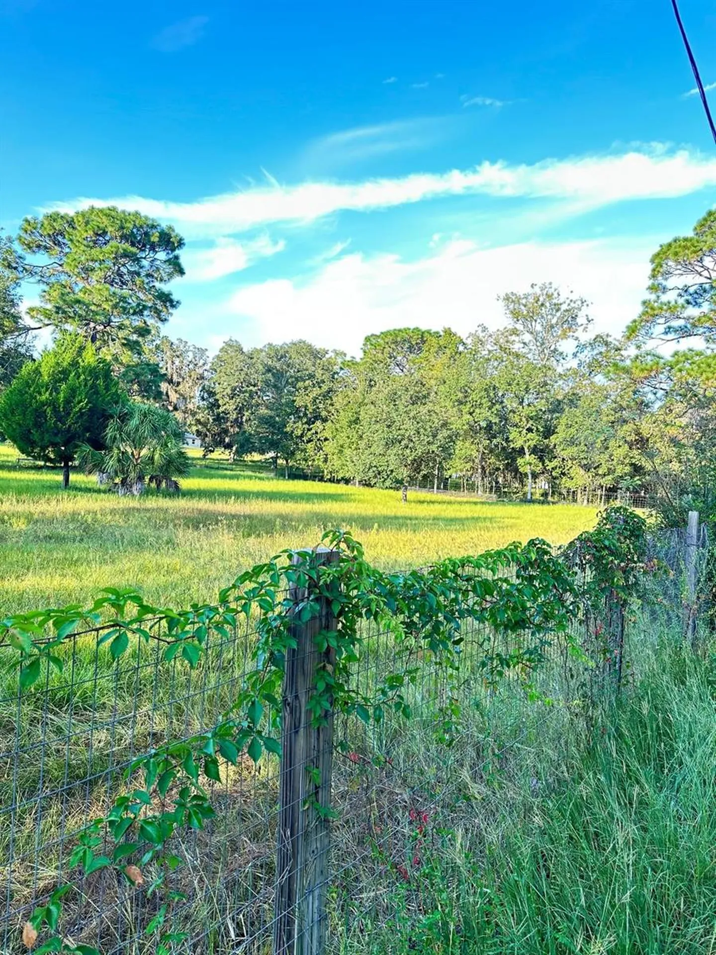 5910 W Donahue Lane Homosassa FL 34448