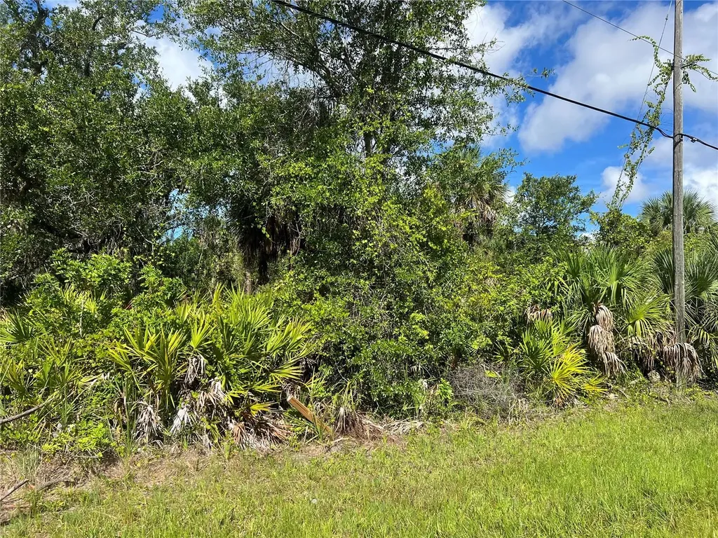 163 Hardee Way Rotonda West FL 33947