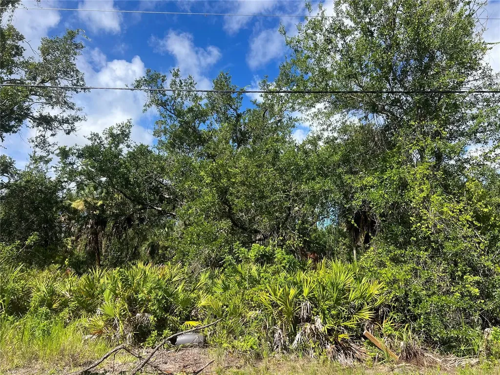 163 Hardee Way Rotonda West FL 33947