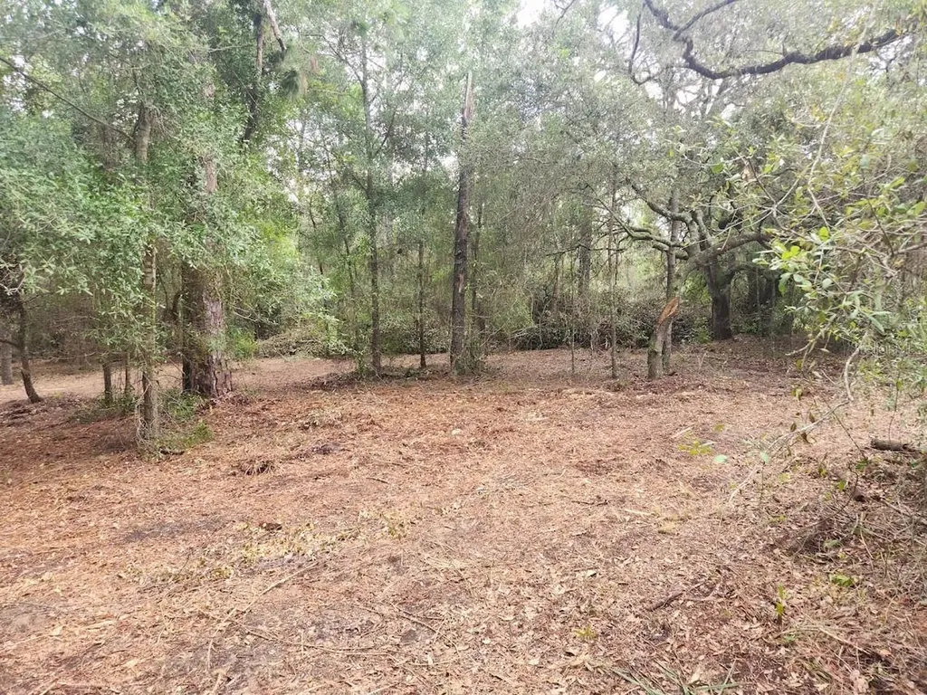 Lot 27 SW Pine Bluffs Road Dunnellon FL 34431