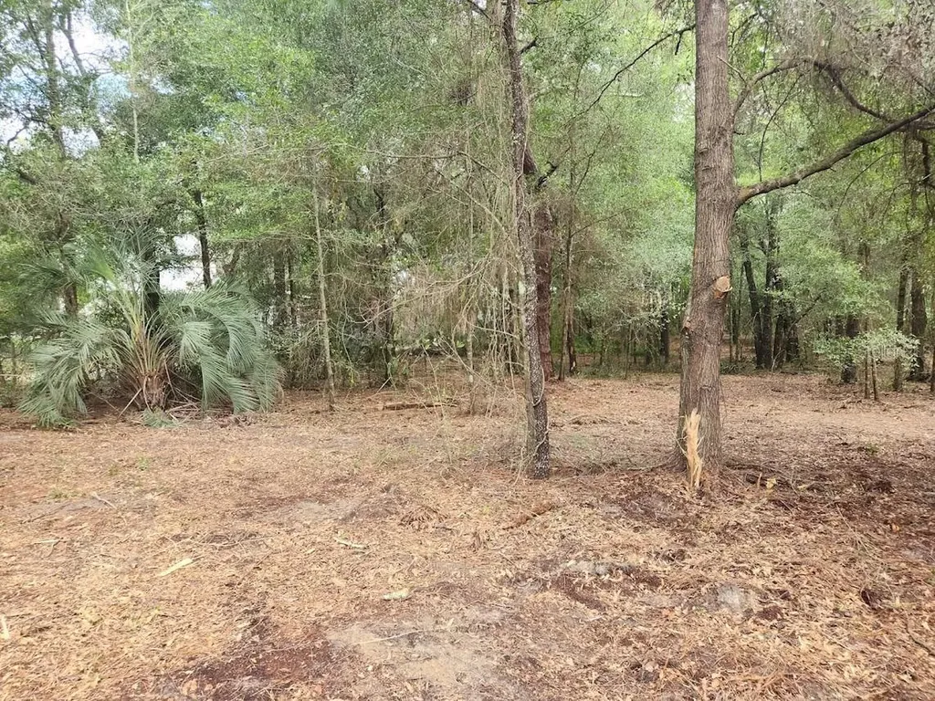 Lot 27 SW Pine Bluffs Road Dunnellon FL 34431