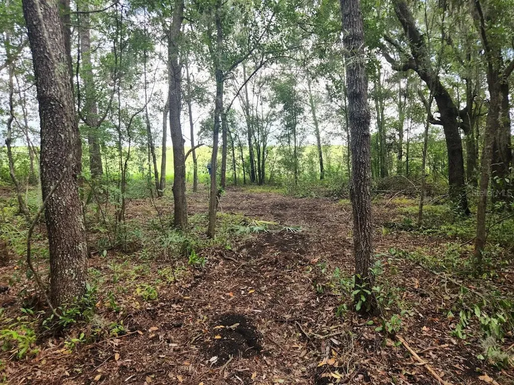 Lot 27 SW Pine Bluffs Road Dunnellon FL 34431
