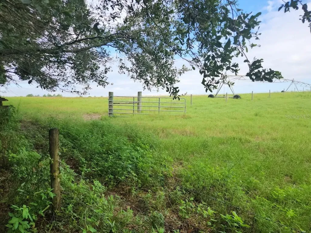 Lot 27 SW Pine Bluffs Road Dunnellon FL 34431