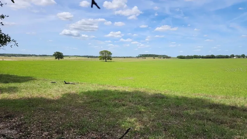 Lot 27 SW Pine Bluffs Road Dunnellon FL 34431