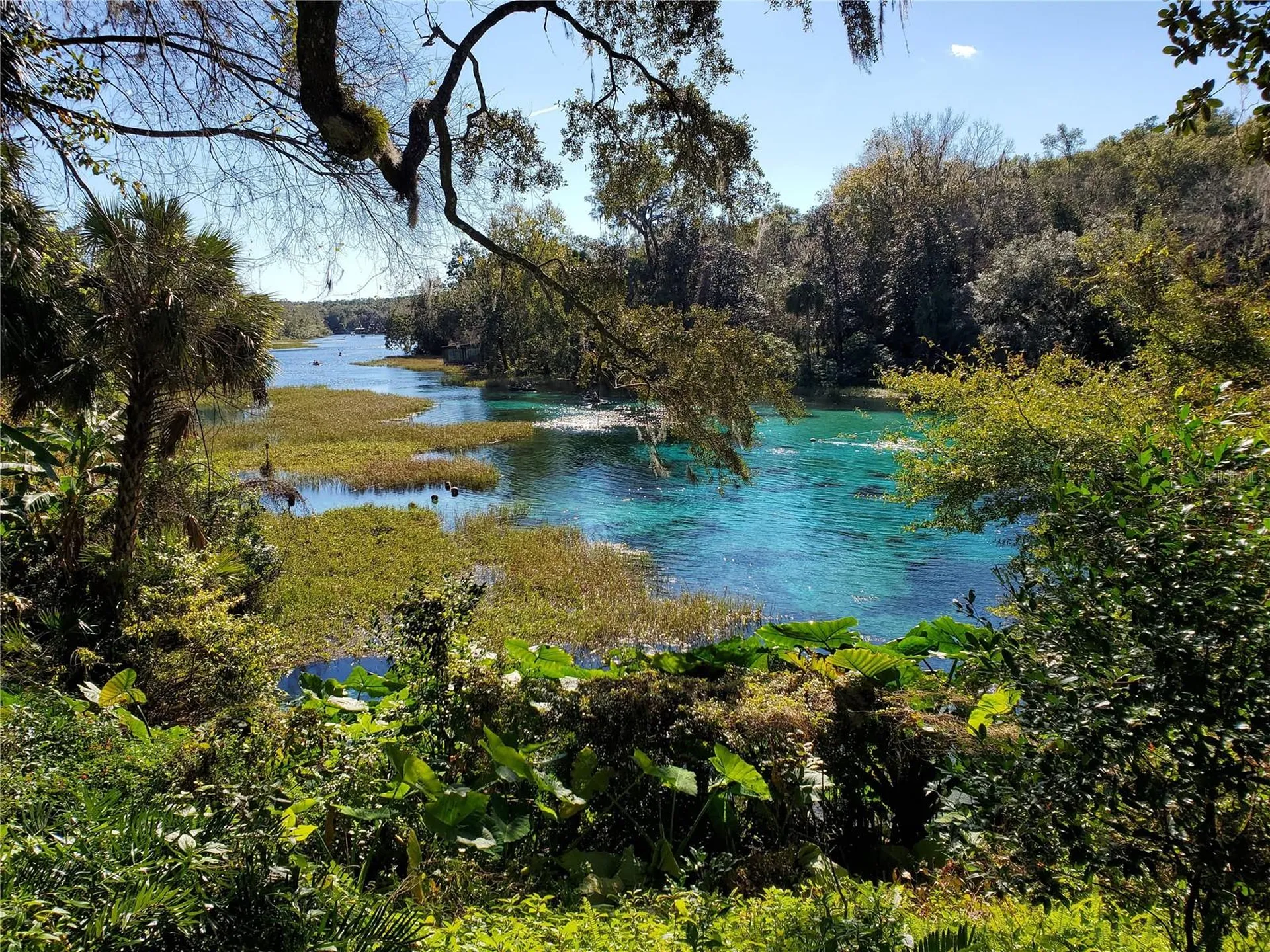 Lot 27 SW Pine Bluffs Road Dunnellon FL 34431