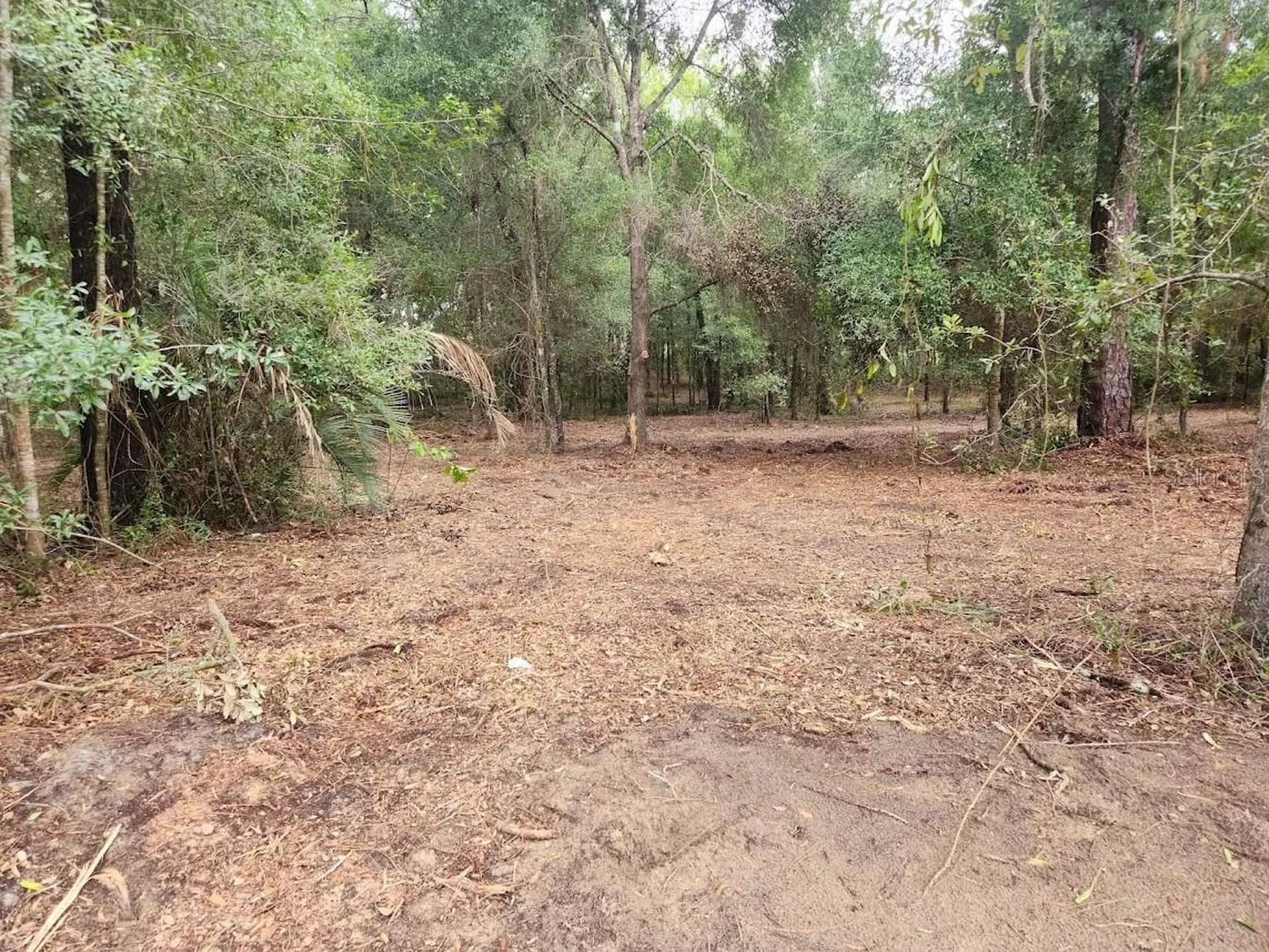 Lot 27 SW Pine Bluffs Road Dunnellon FL 34431