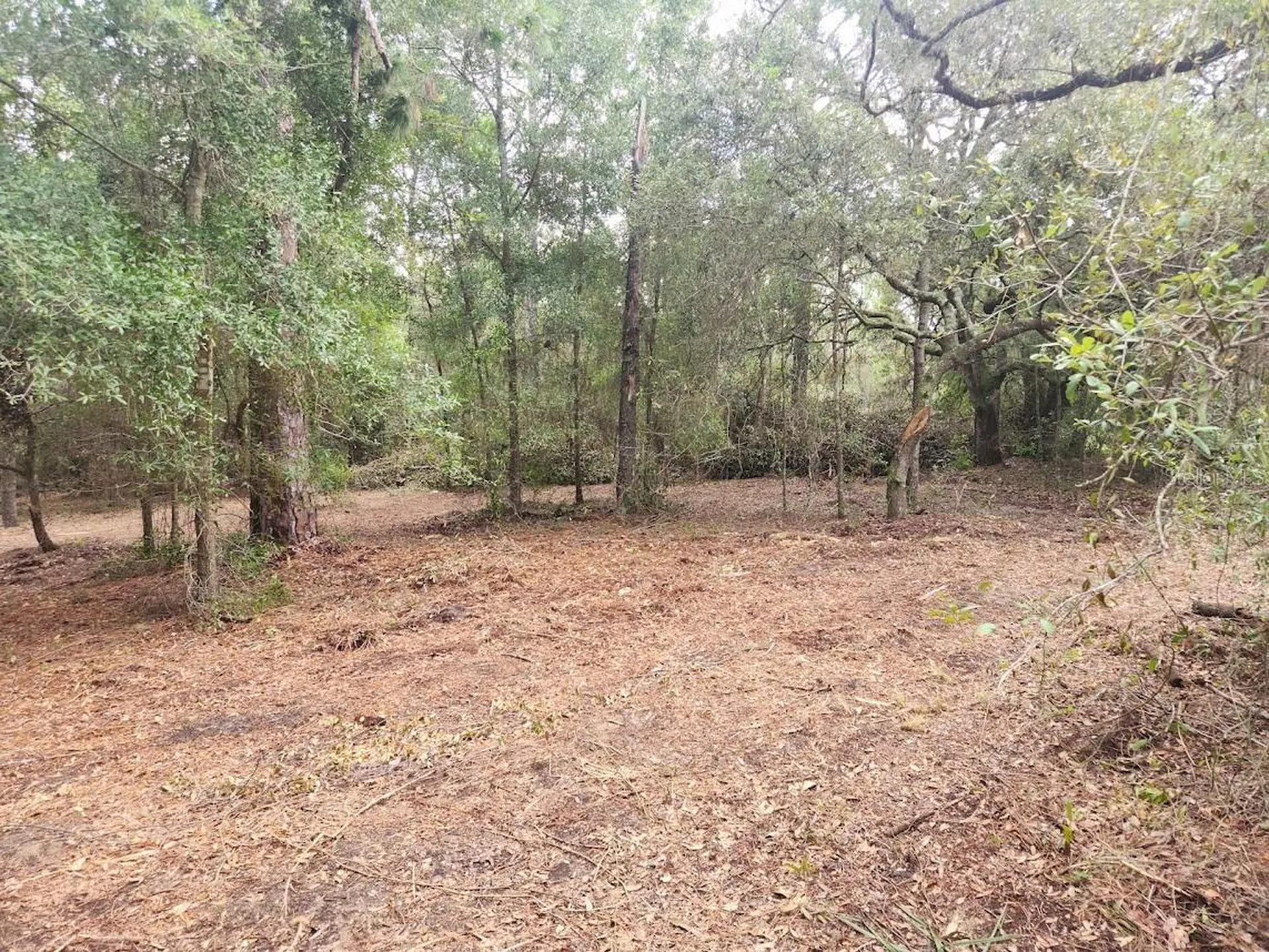 Lot 27 SW Pine Bluffs Road Dunnellon FL 34431
