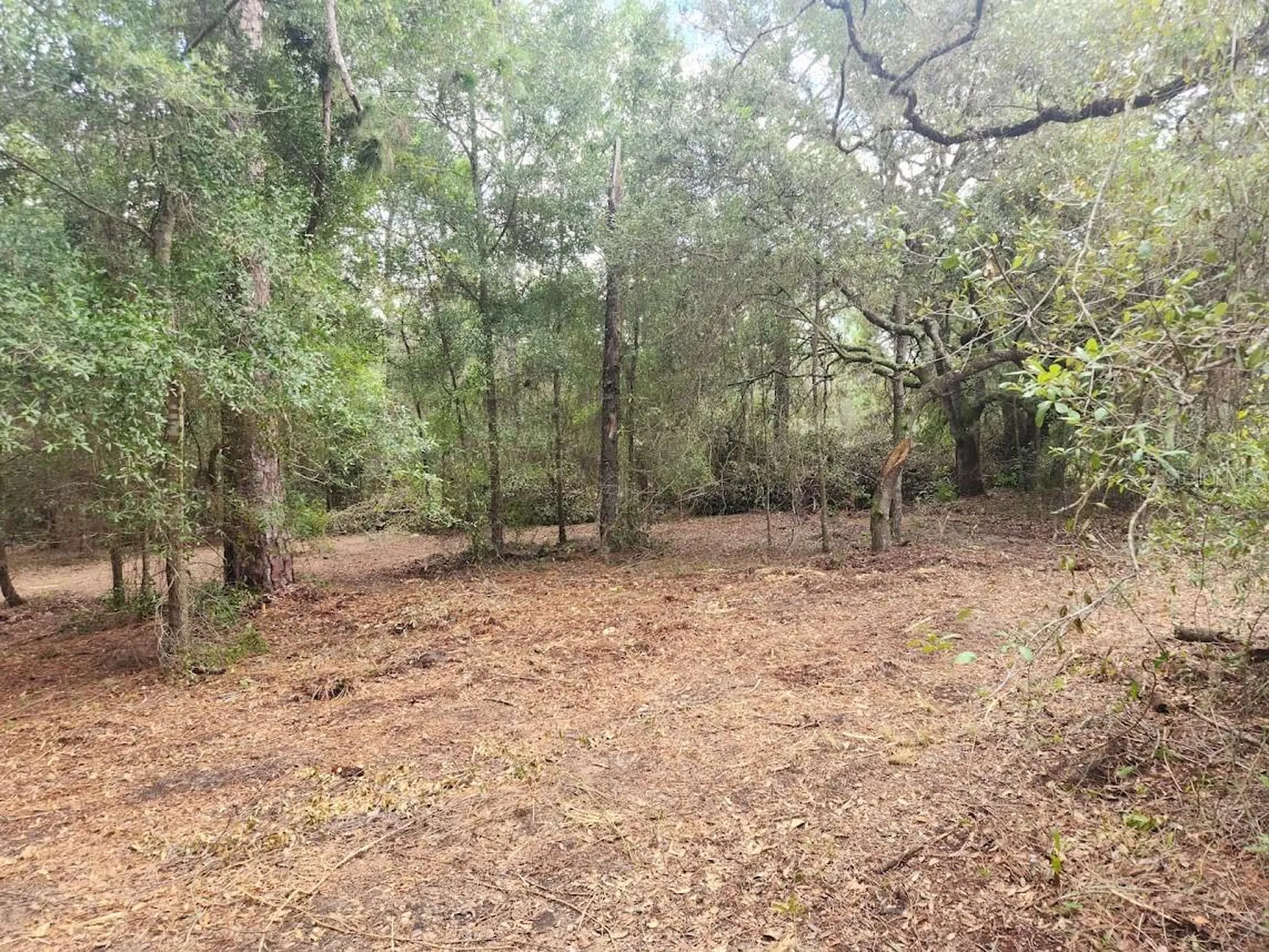 Lot 27 SW Pine Bluffs Road Dunnellon FL 34431