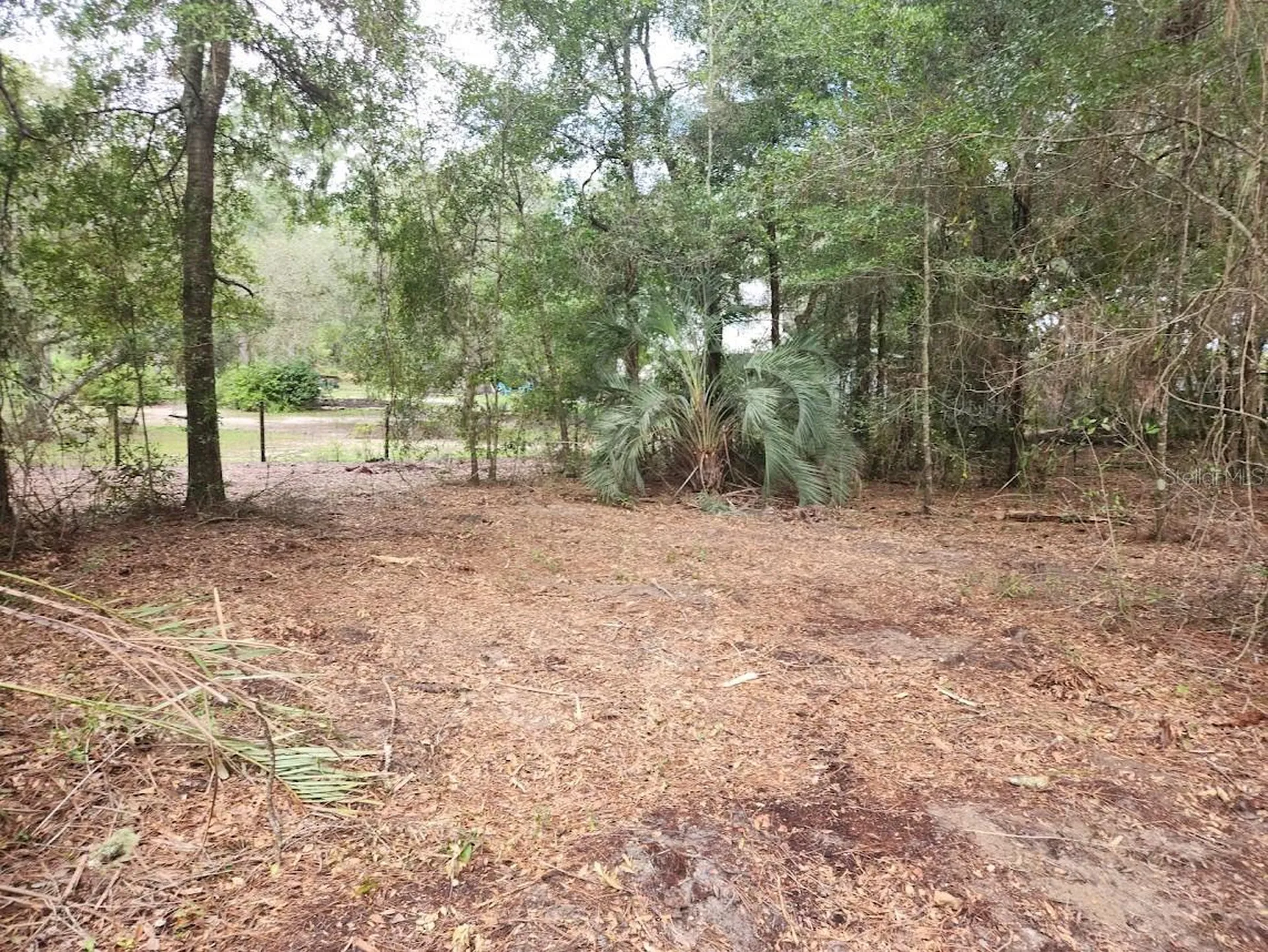 Lot 27 SW Pine Bluffs Road Dunnellon FL 34431