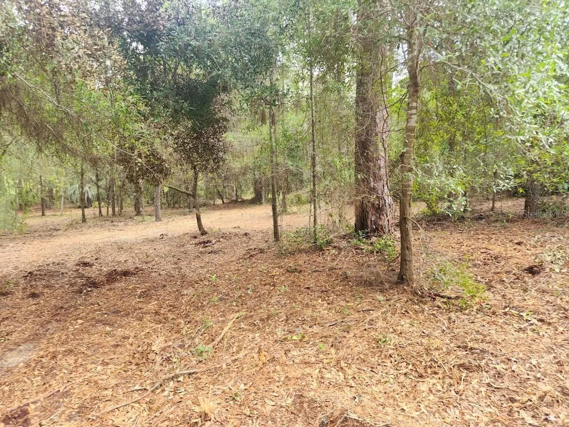 Lot 27 SW Pine Bluffs Road Dunnellon FL 34431