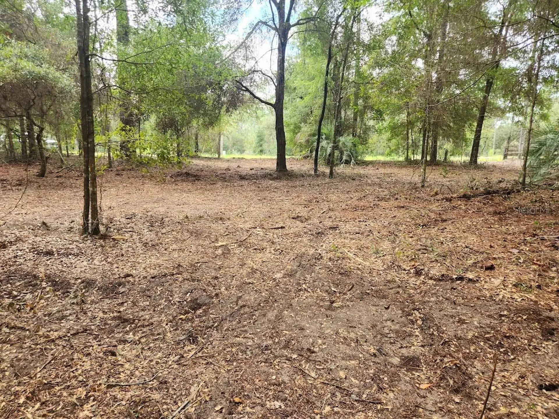 Lot 27 SW Pine Bluffs Road Dunnellon FL 34431