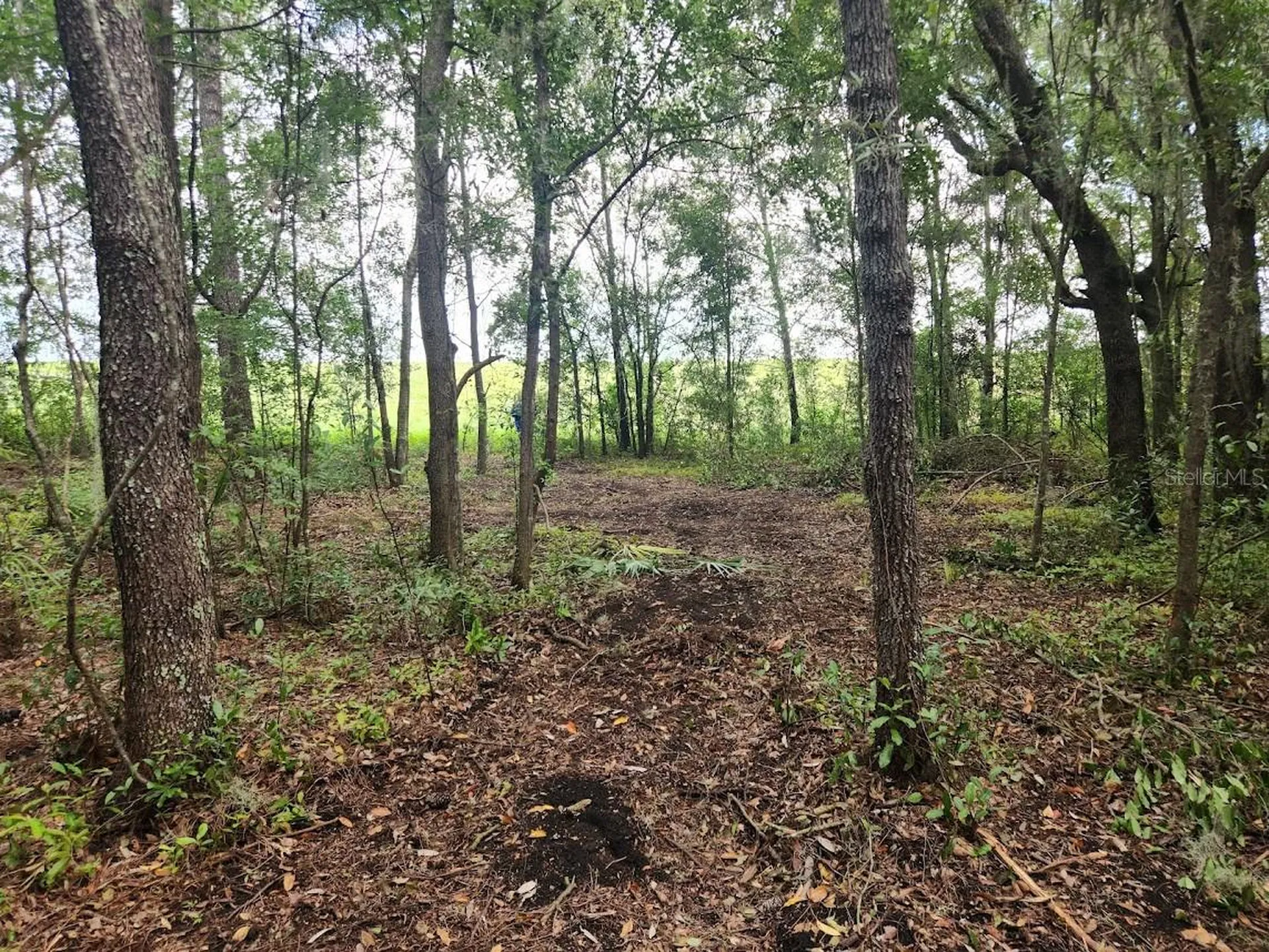 Lot 27 SW Pine Bluffs Road Dunnellon FL 34431