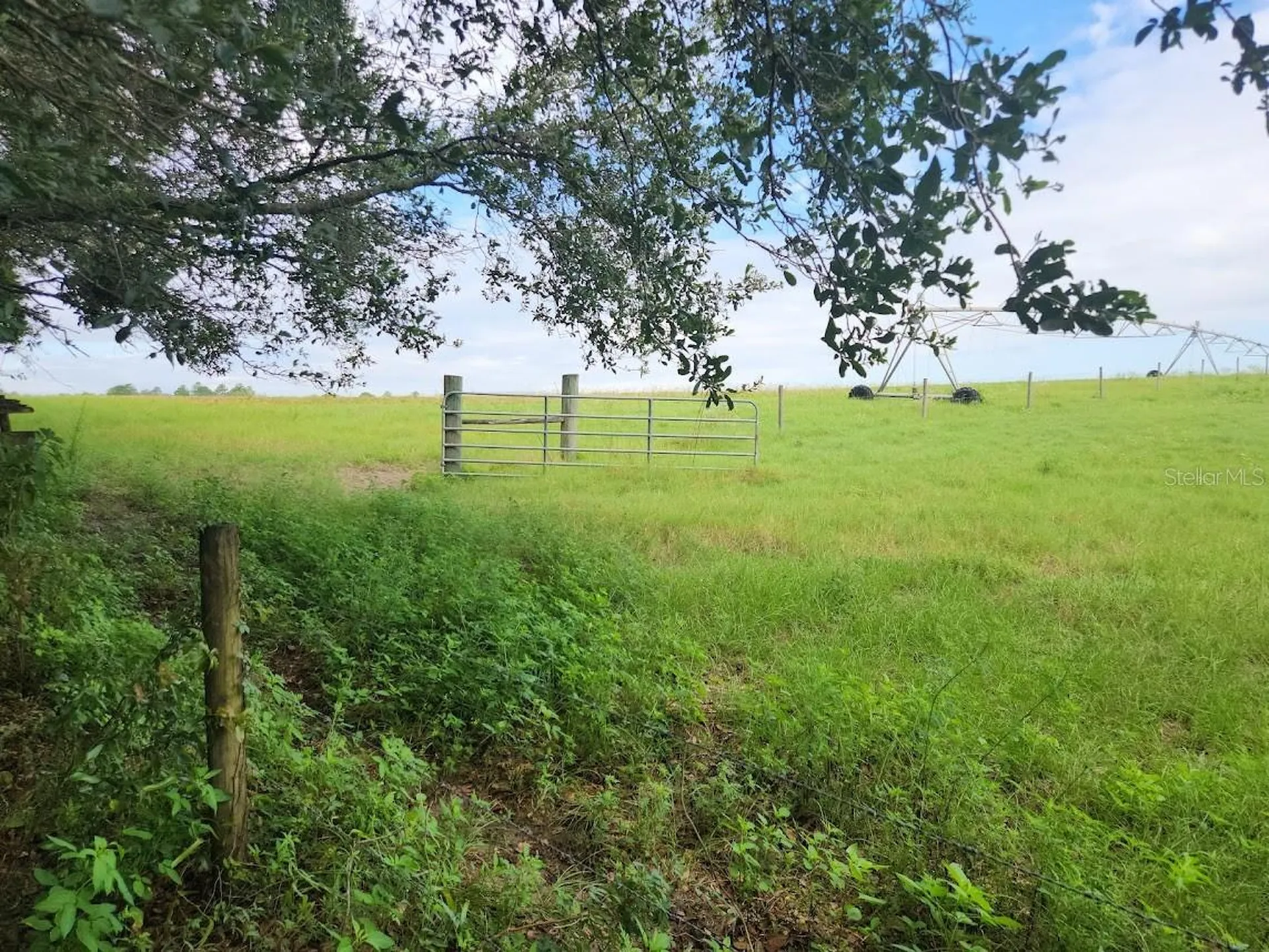 Lot 27 SW Pine Bluffs Road Dunnellon FL 34431