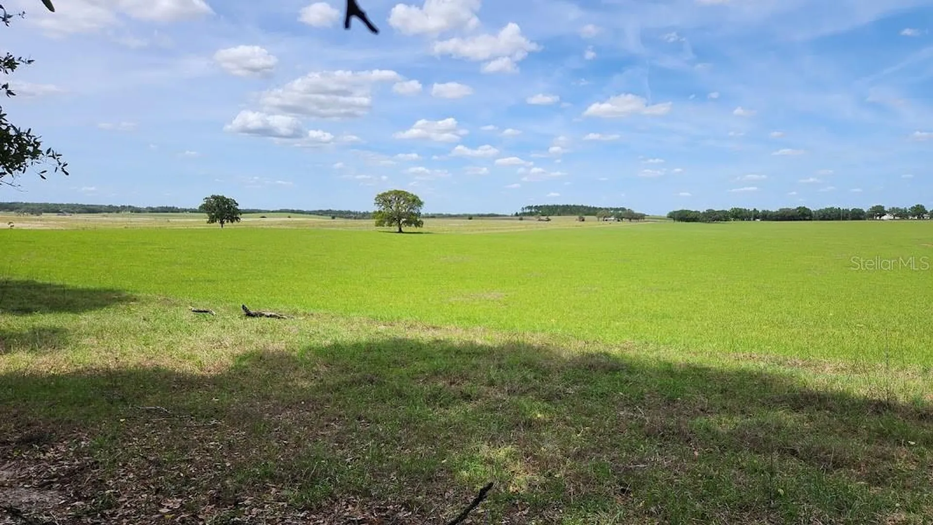 Lot 27 SW Pine Bluffs Road Dunnellon FL 34431