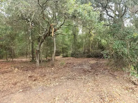 Lot 27 SW Pine Bluffs Road Dunnellon FL 34431