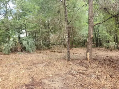 Lot 27 SW Pine Bluffs Road Dunnellon FL 34431