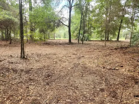 Lot 27 SW Pine Bluffs Road Dunnellon FL 34431