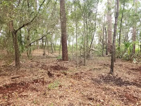 Lot 27 SW Pine Bluffs Road Dunnellon FL 34431