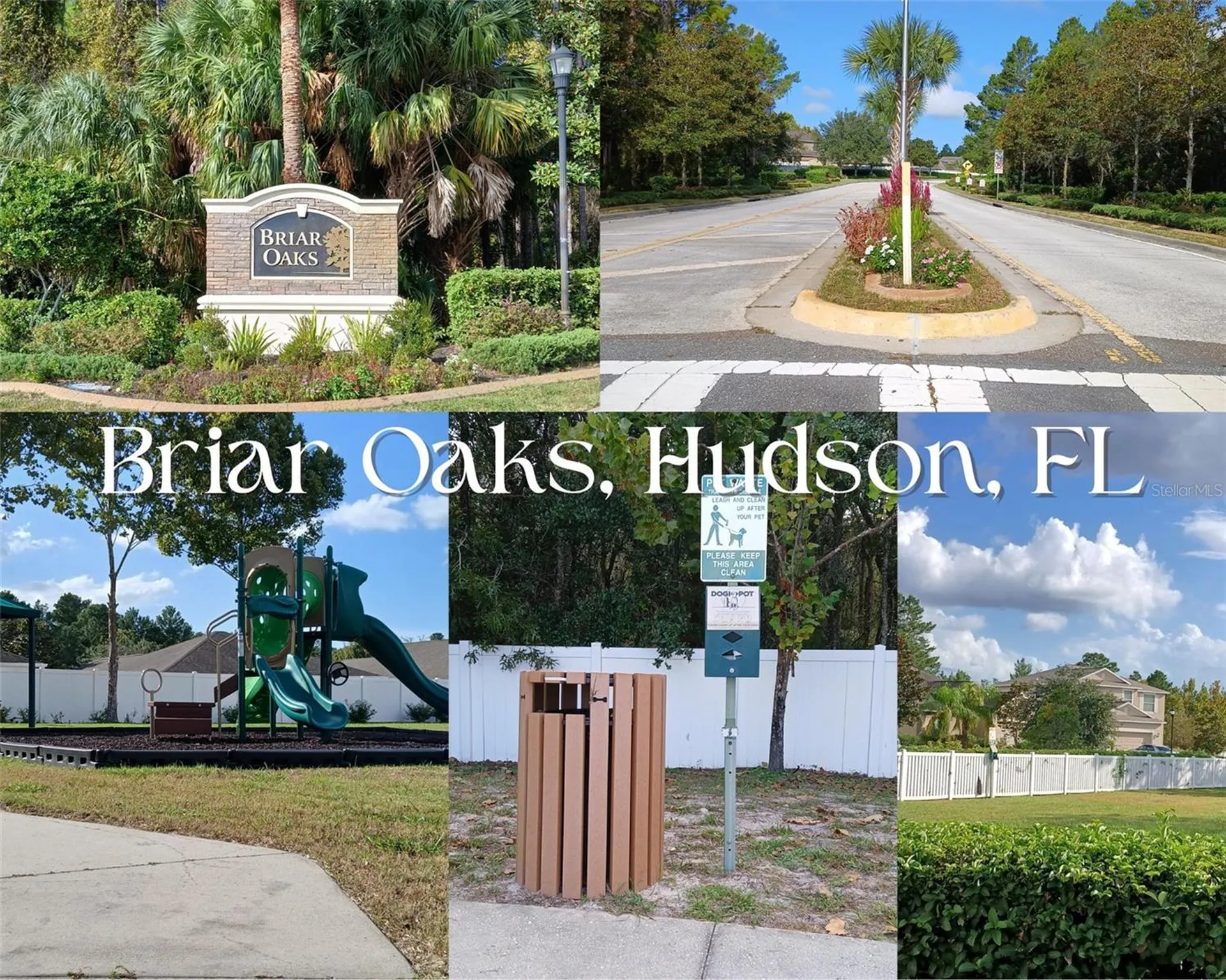 10143 Tolman Drive Hudson FL 34667