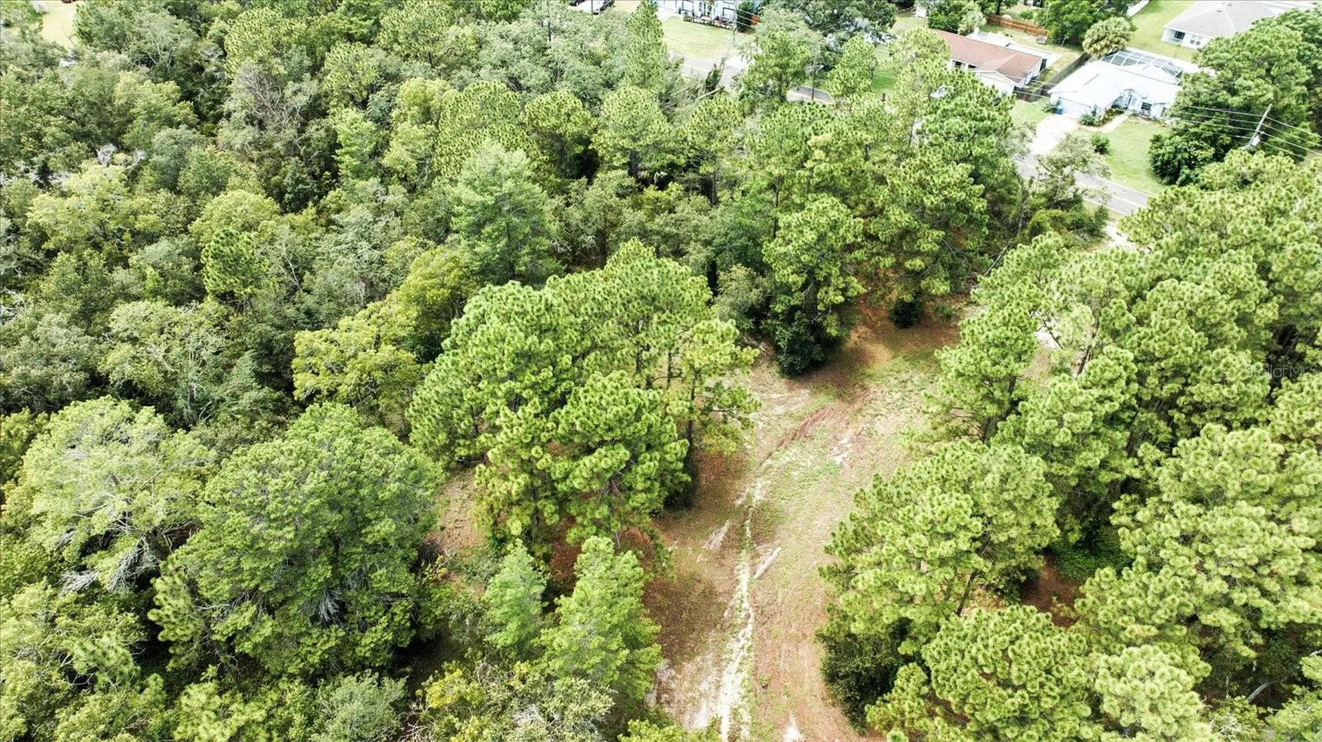 Linden Drive Spring Hill FL 34608