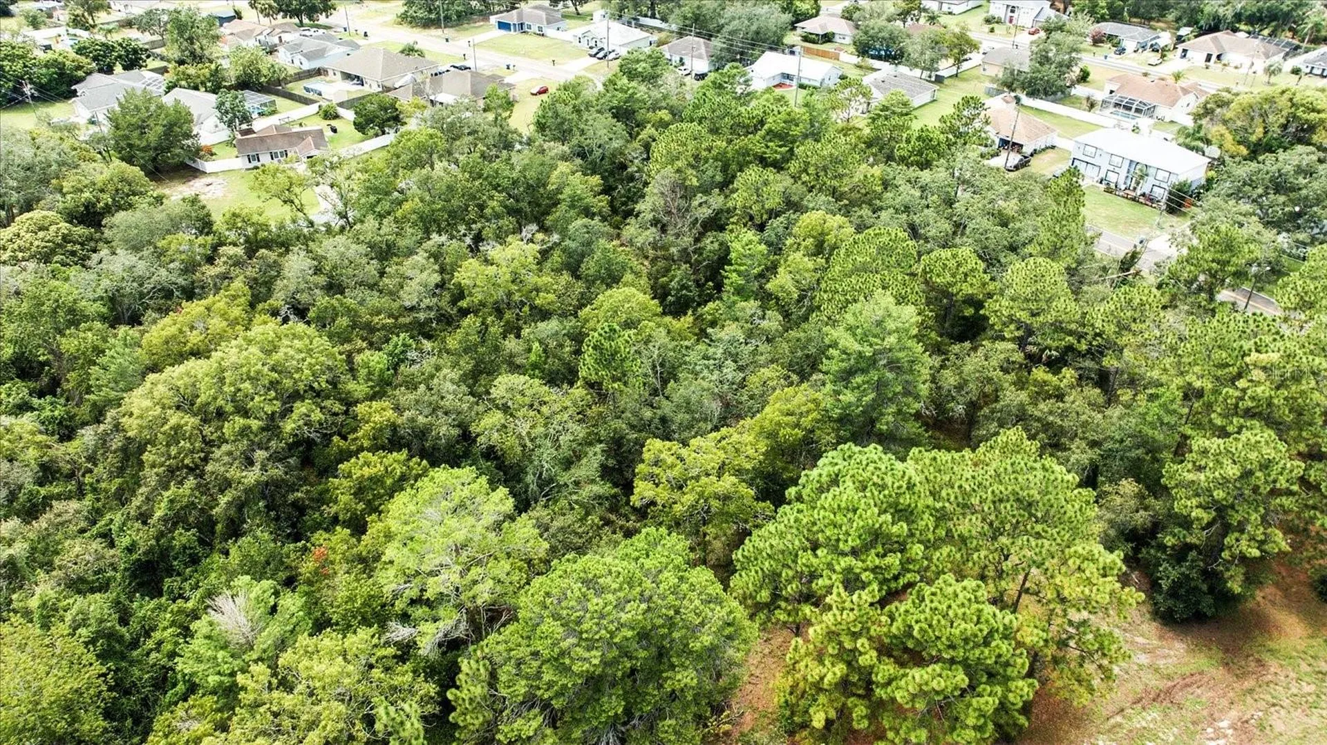 Linden Drive Spring Hill FL 34608