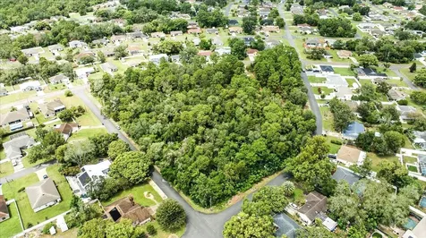 Linden Drive Spring Hill FL 34608