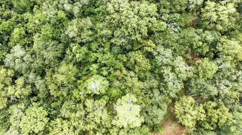 Linden Drive Spring Hill FL 34608
