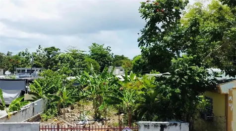 Bo. Pueblo C. Pedro Arzuaga Carolina PR 00985