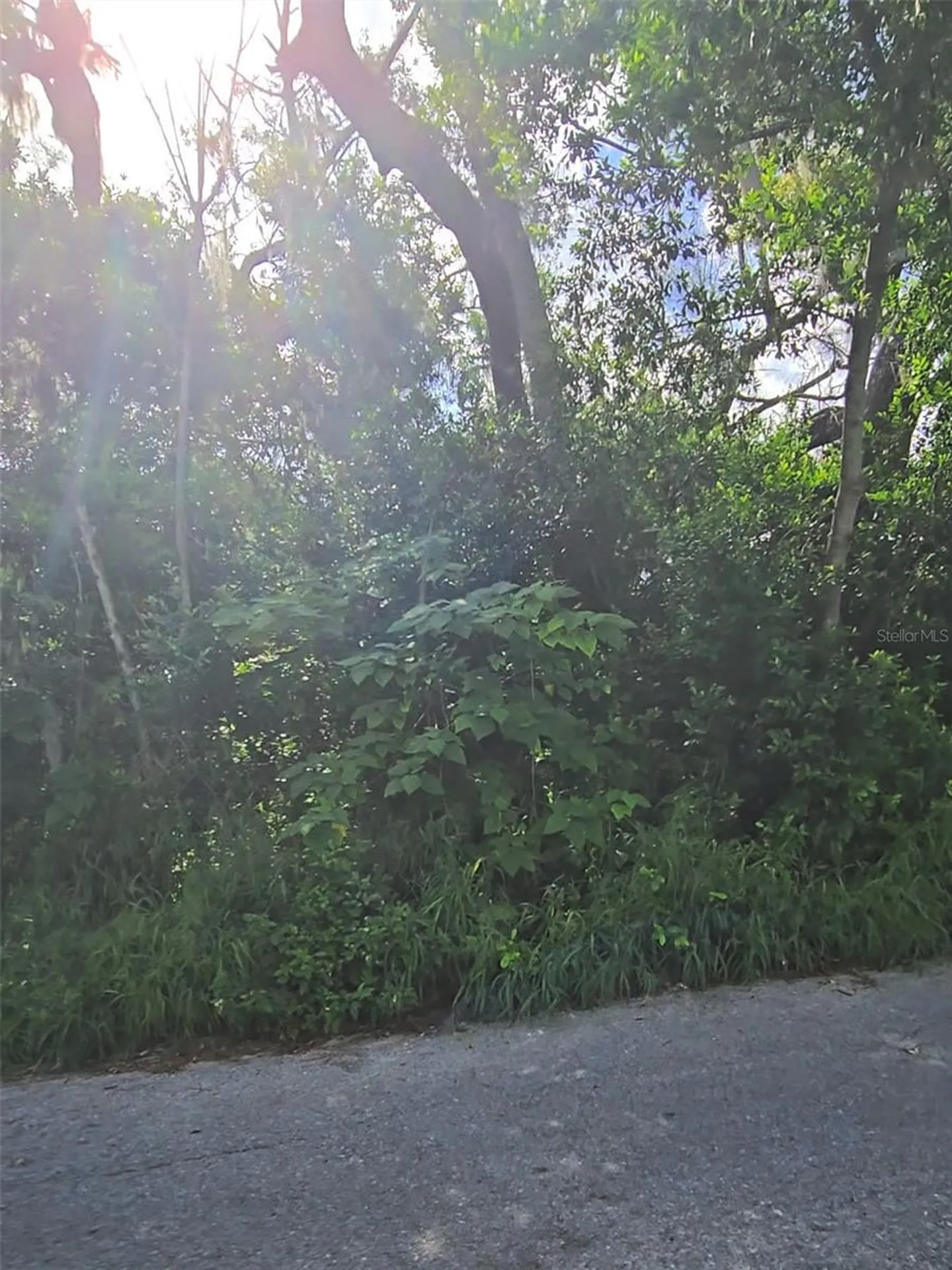Lenox Drive New Port Richey FL 34653