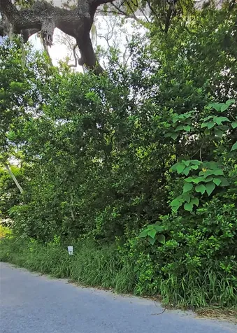 Lenox Drive New Port Richey FL 34653