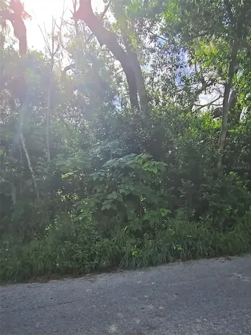 Lenox Drive New Port Richey FL 34653