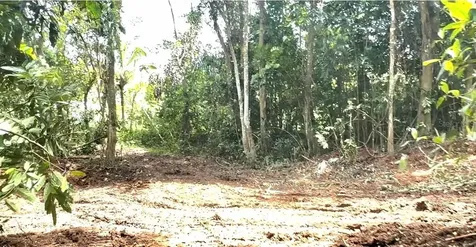 Sector Los López Cayey PR 00736