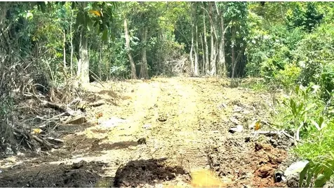 Sector Los López Cayey PR 00736