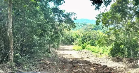 Sector Los López Cayey PR 00736