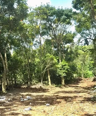 Sector Los López Cayey PR 00736