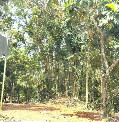 Sector Los López Cayey PR 00736