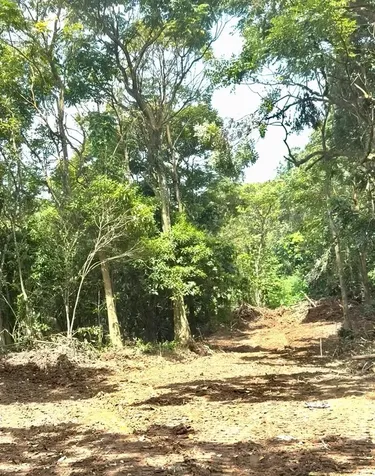 Sector Los López Cayey PR 00736