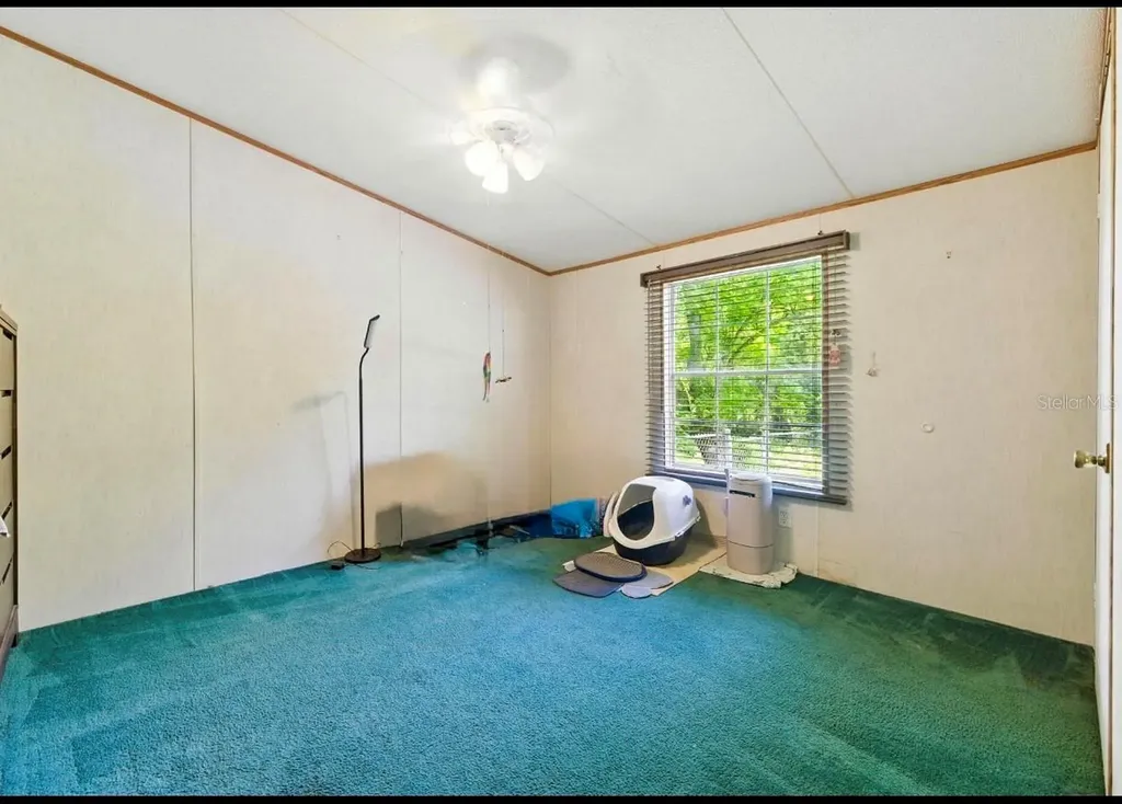 29913 Briarthorn Loop Wesley Chapel FL 33545