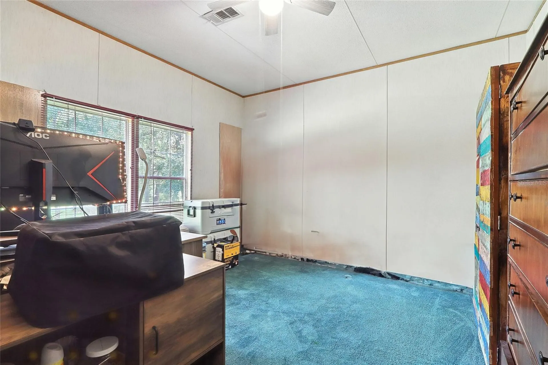 29913 Briarthorn Loop Wesley Chapel FL 33545
